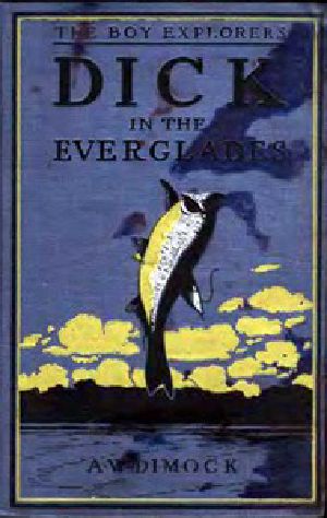 [Gutenberg 13168] • Dick in the Everglades